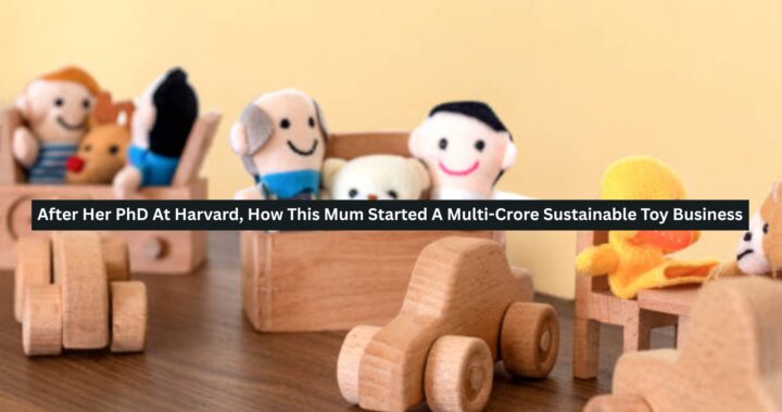 Multi-Crore Sustainable Toy Business
