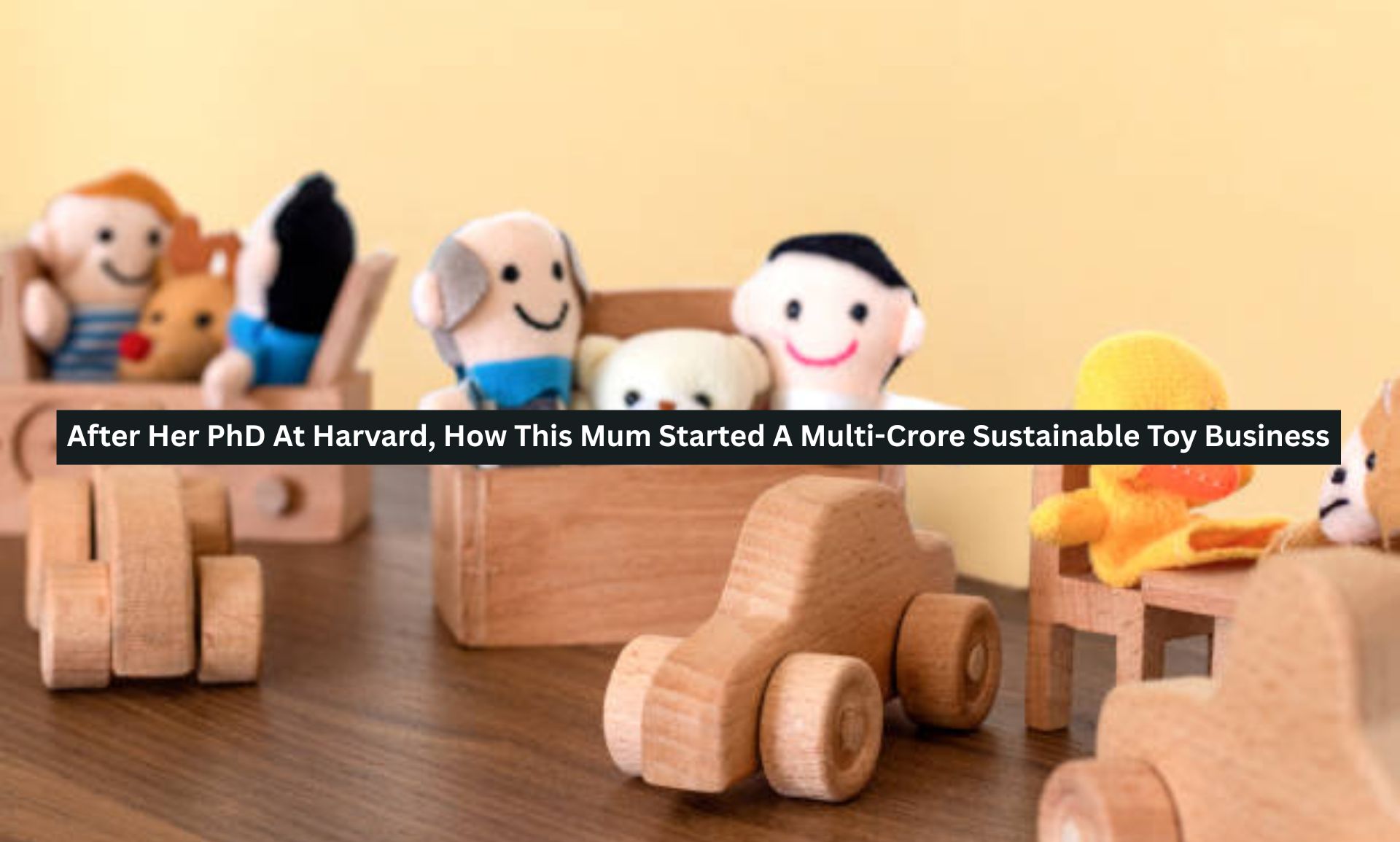 Multi-Crore Sustainable Toy Business